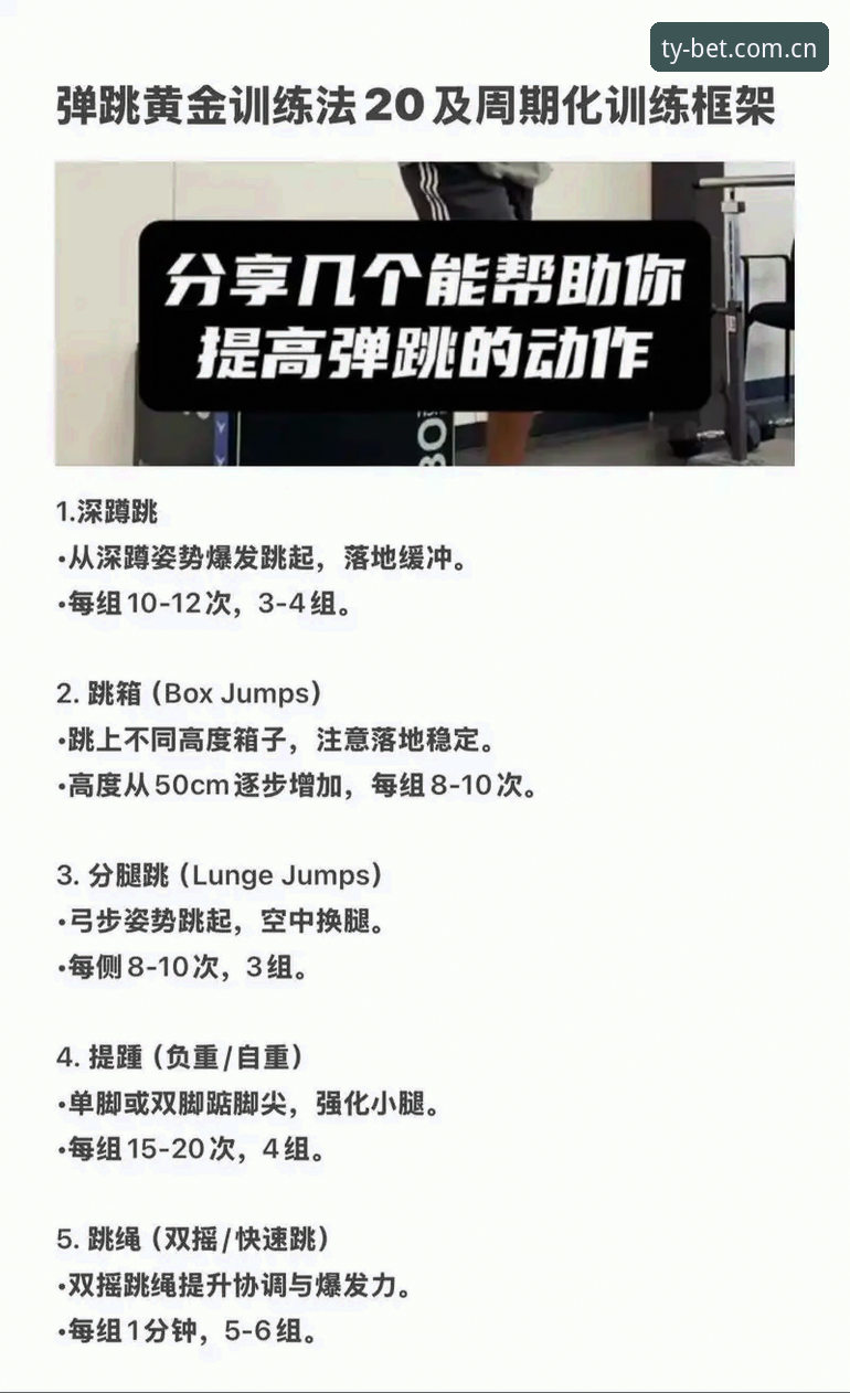 Bet体育安卓版实用技巧：从注册到投注的完整操作指南