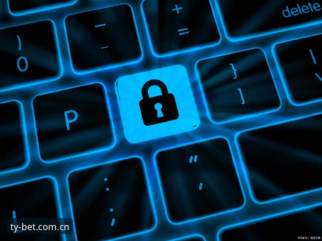 Bet体育官方App哪个好？官方版与第三方版本的深度技术测评